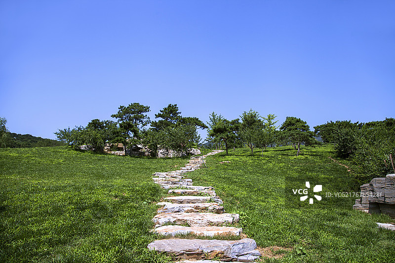 中国园林石板路草地蓝天树林图片素材