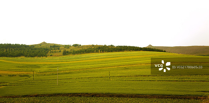 北方的梯田图片素材