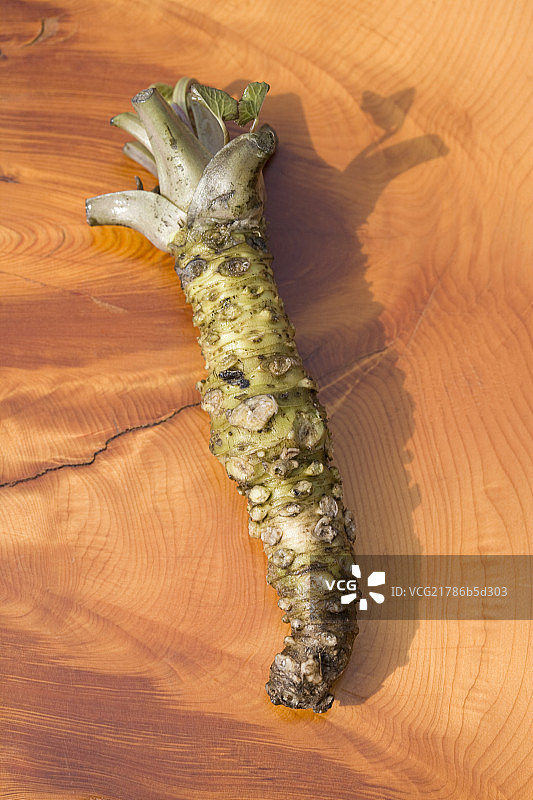 白色的萝卜图片素材