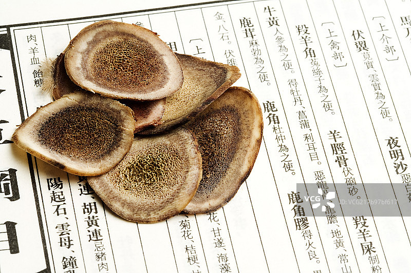 鹿茸,中药,图片素材