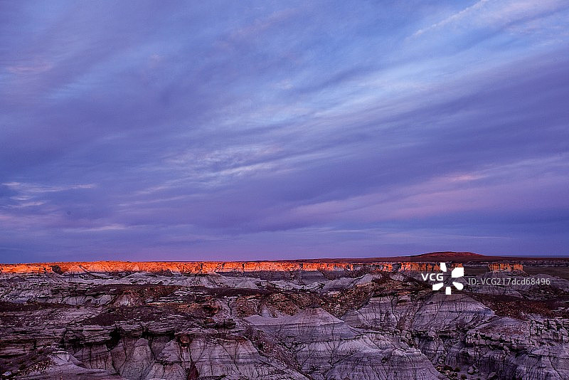 化石树国家公园图片素材