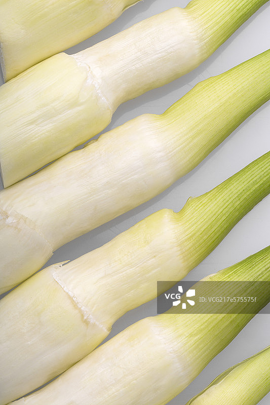 茭白图片素材