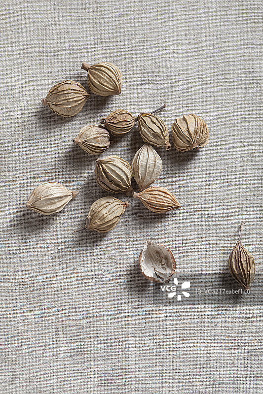 放在桌子上的佐料 草果图片素材