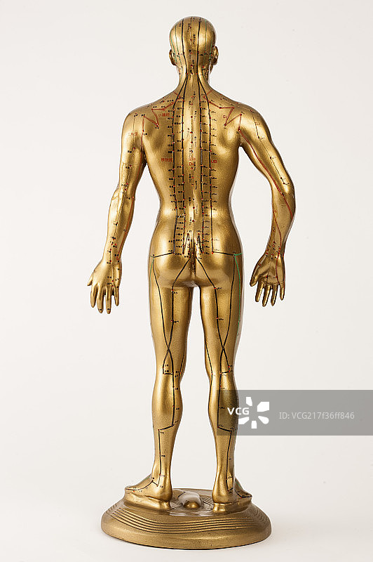 中医,中药,铜人,穴道,图片素材