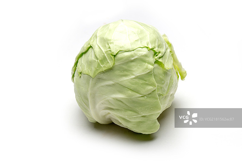 蔬菜 包菜图片素材