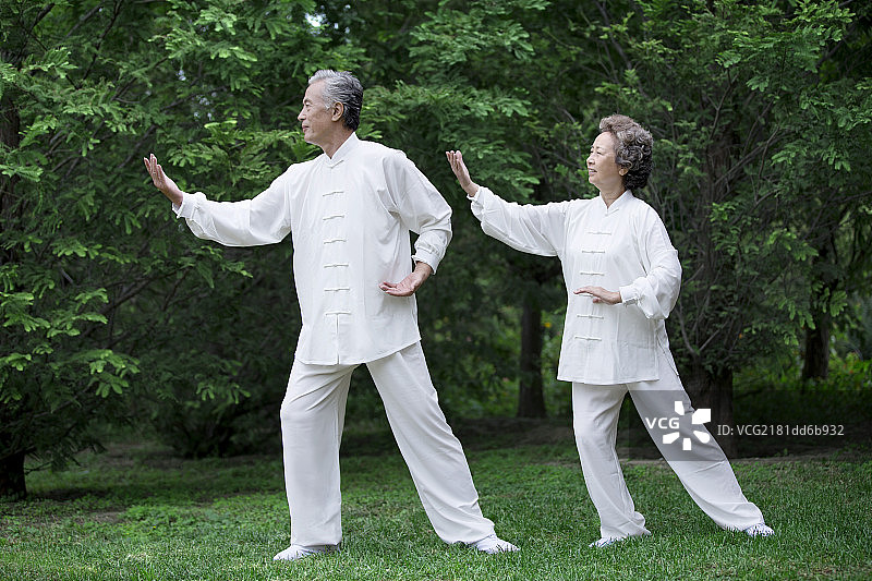 站在草地上练武的老年男女图片素材