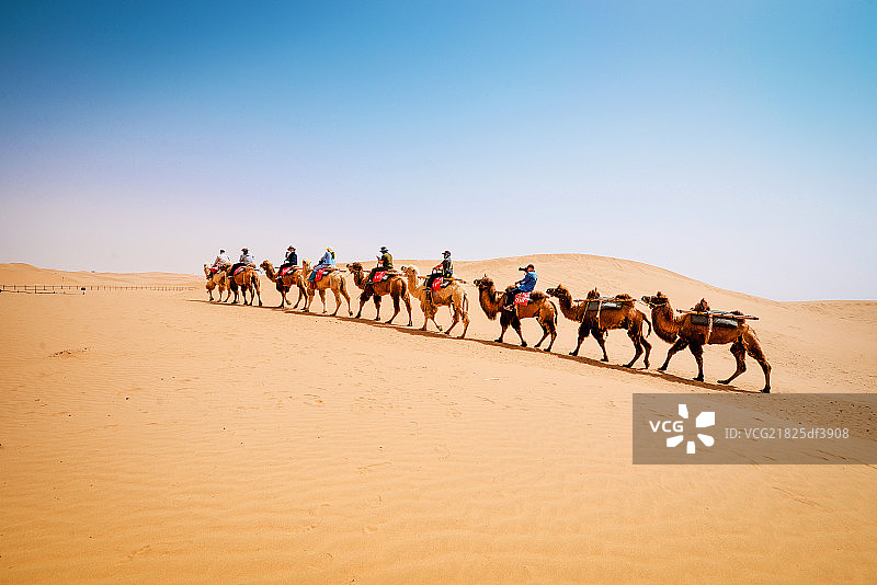 宁夏中卫沙坡头图片素材