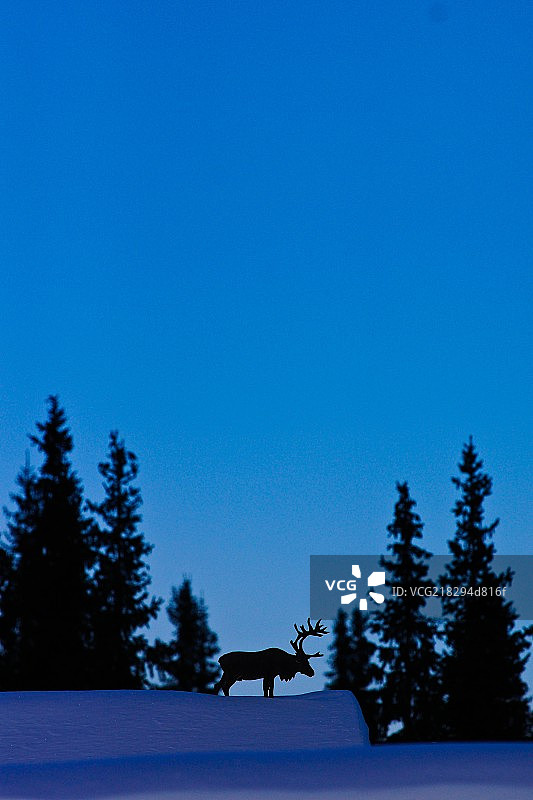 鹿的雕塑图片素材