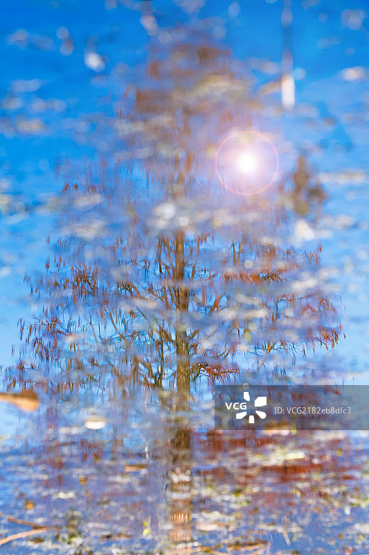 水面倒影图片素材