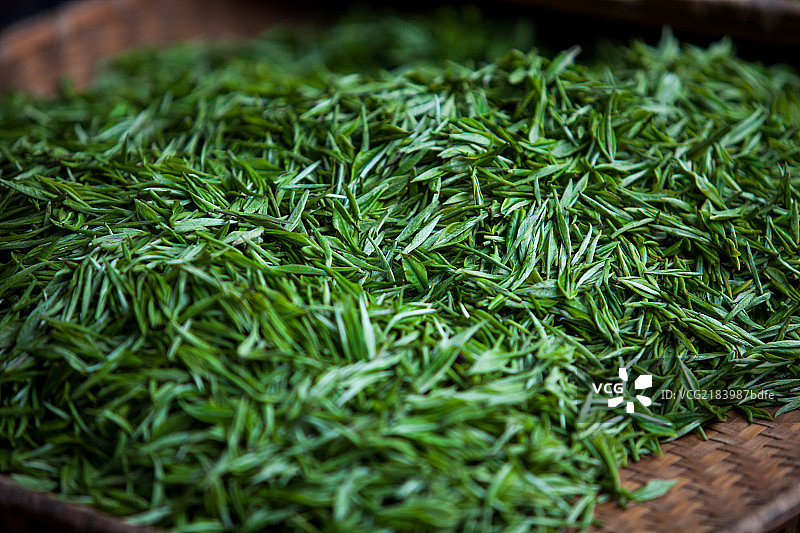 杭州西湖龙井茶图片素材