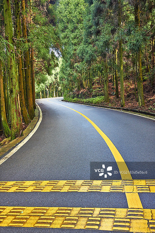 林间柏油路图片素材