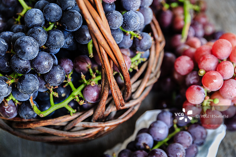 葡萄丰收了图片素材