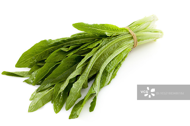 一捆油麦菜图片素材