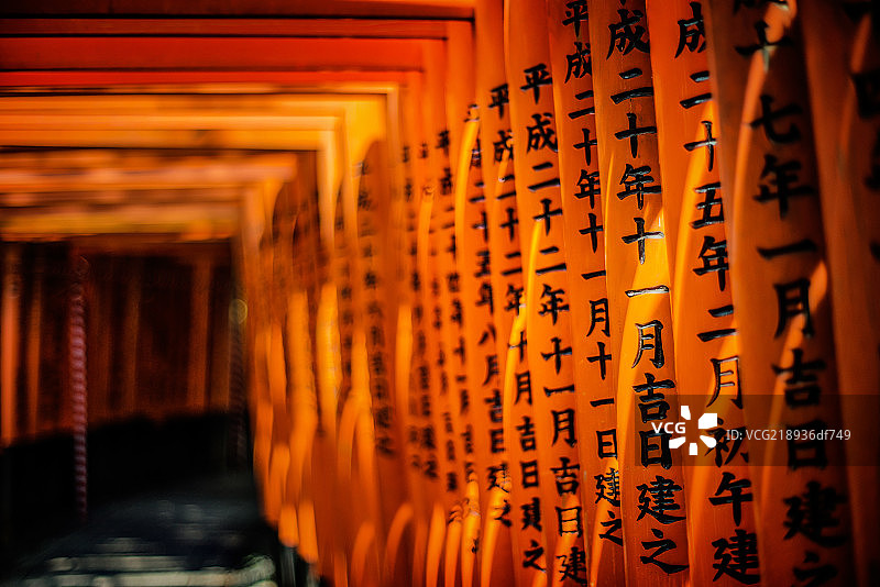 京都千本鸟居图片素材