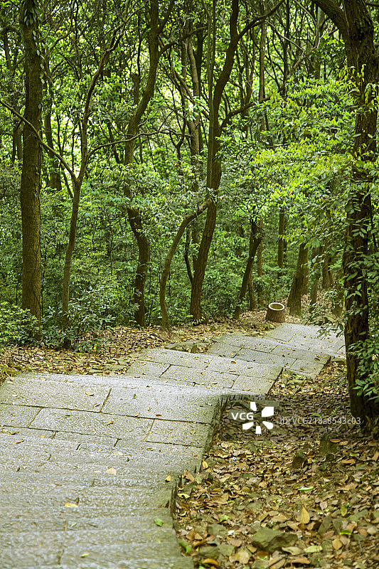 中国南方山间的石板路图片素材