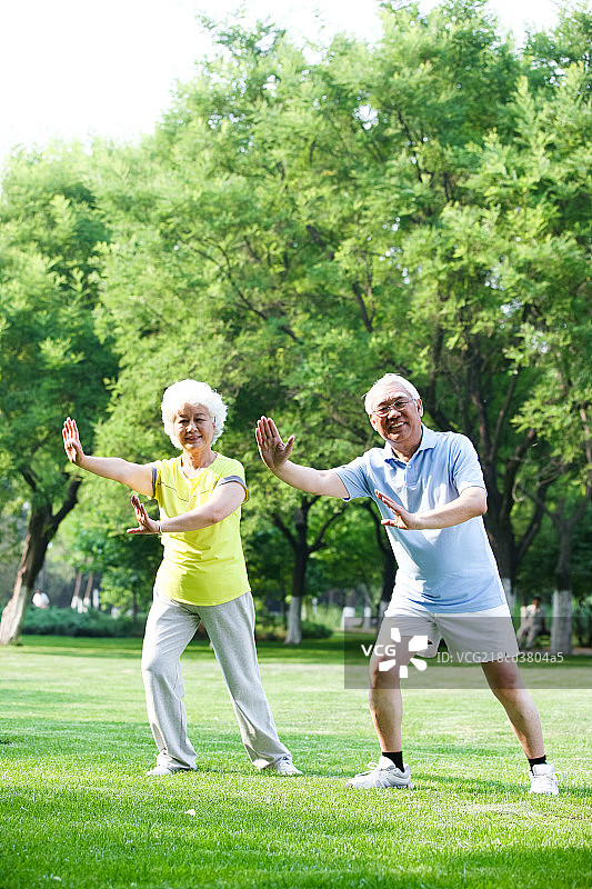 幸福的老年夫妇练太极拳图片素材