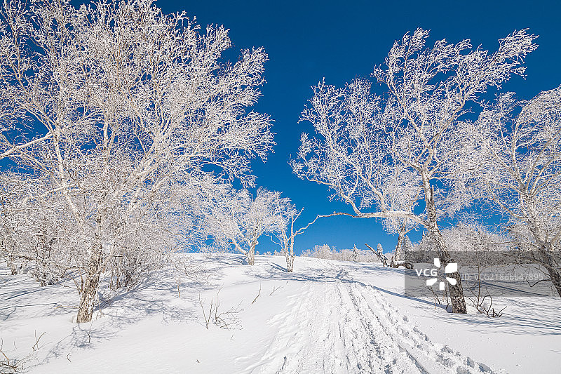 黑龙江雪乡风光图片素材