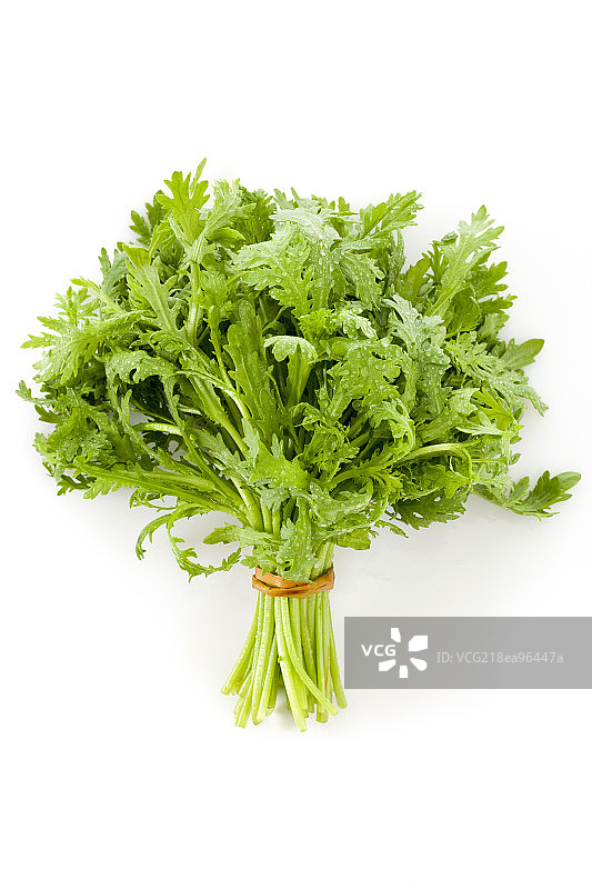 一捆茼蒿图片素材