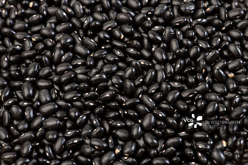 黑豆图片素材