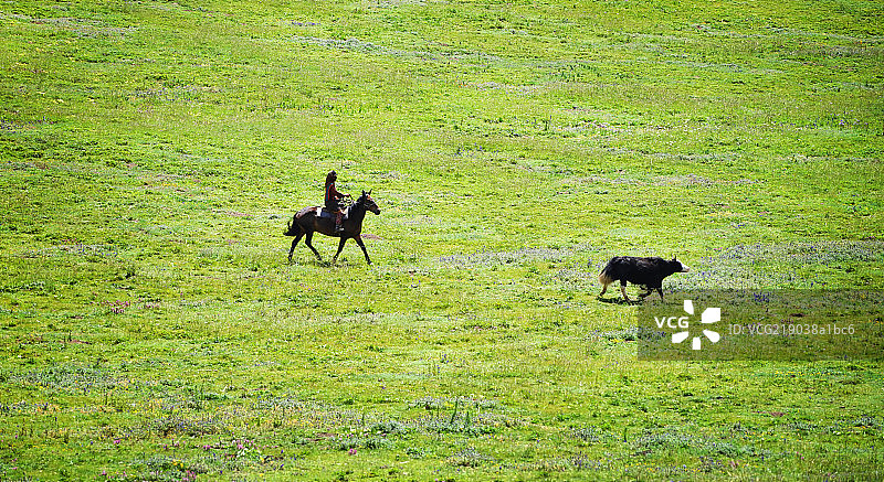 草原风光图片素材
