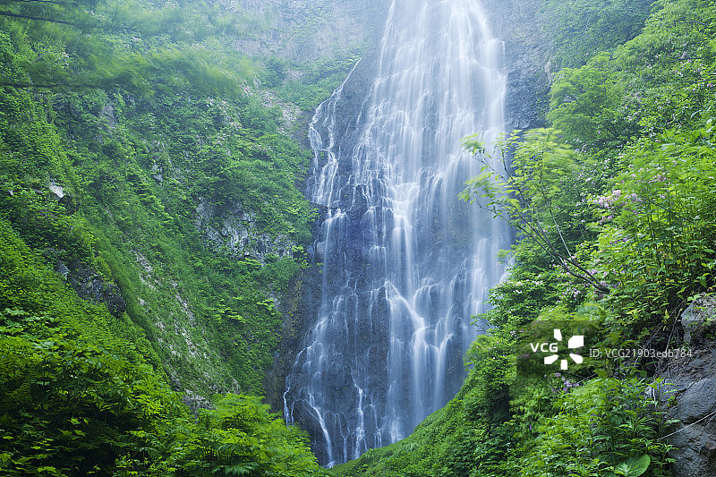Waterfall in Shirakami-sanchi, Aomori, Japan图片素材