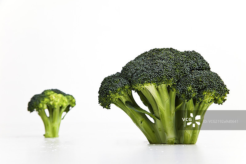 花椰菜图片素材