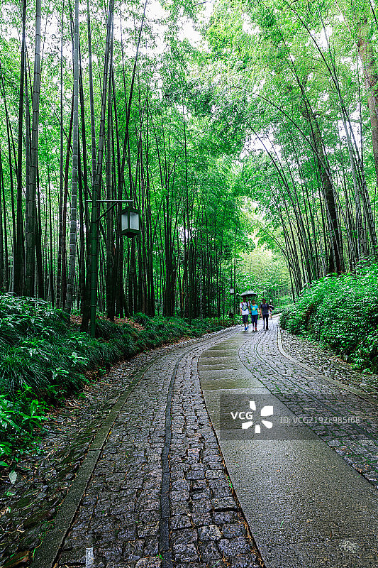 云栖竹径图片素材