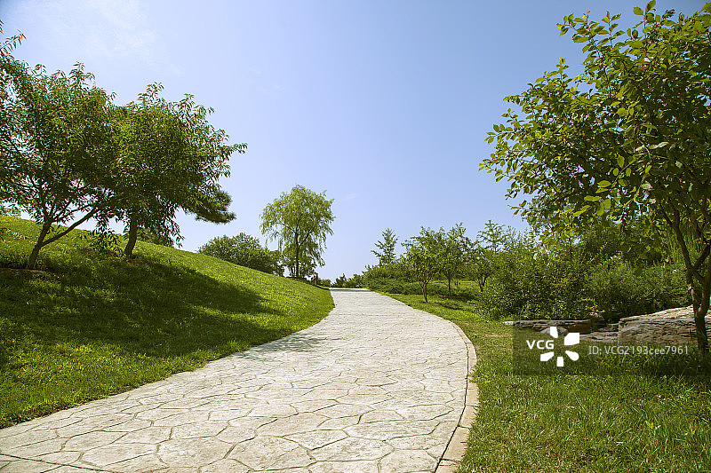 中国园林石板路草地蓝天树林图片素材