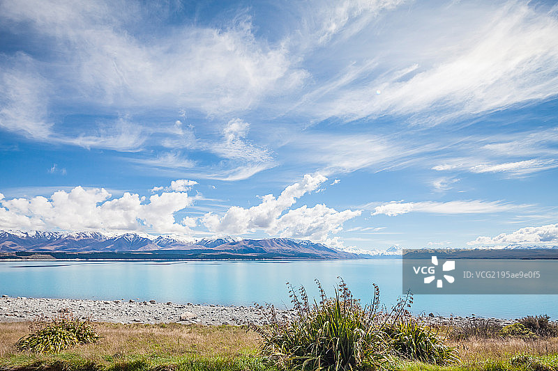 新西兰普卡基湖畔图片素材