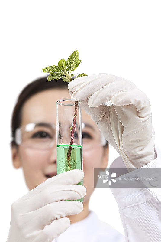 科学家在实验室做科学实验图片素材