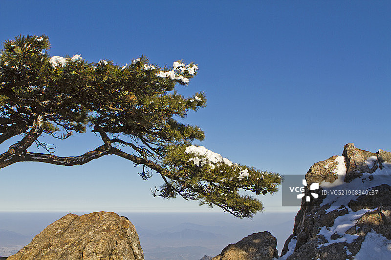 黄山图片素材