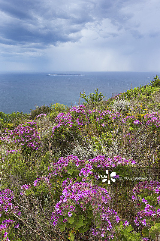 风雨中的罗本岛图片素材