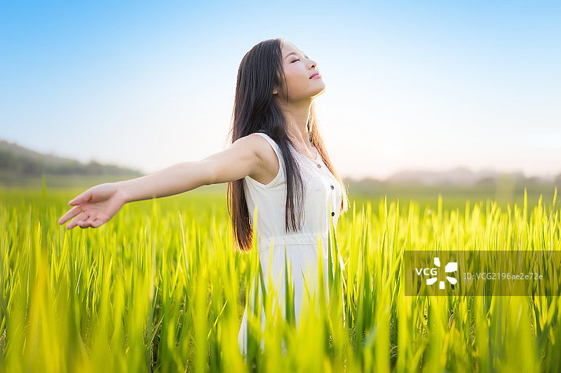 亚洲女子在稻田里图片素材