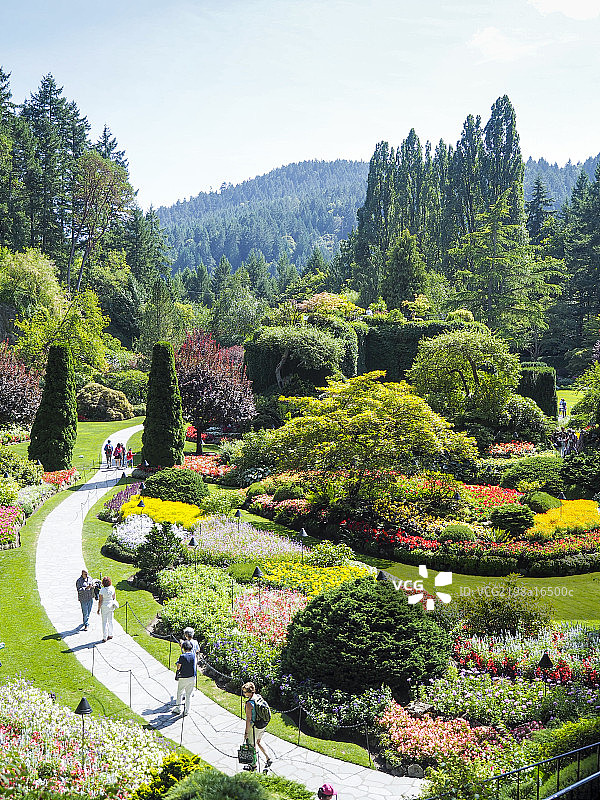加拿大维多利亚布查花园图片素材