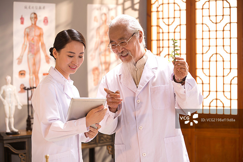 医生研究中草药图片素材