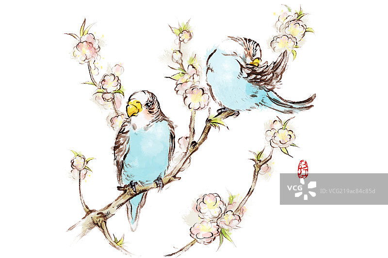 鹦鹉和桃花图片素材