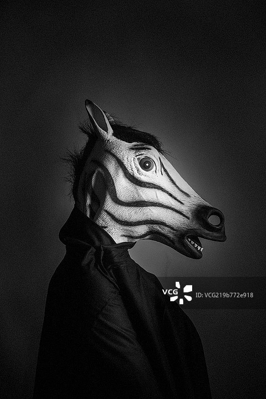 斑马头人身图片素材