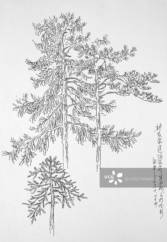 绘画手稿图片素材