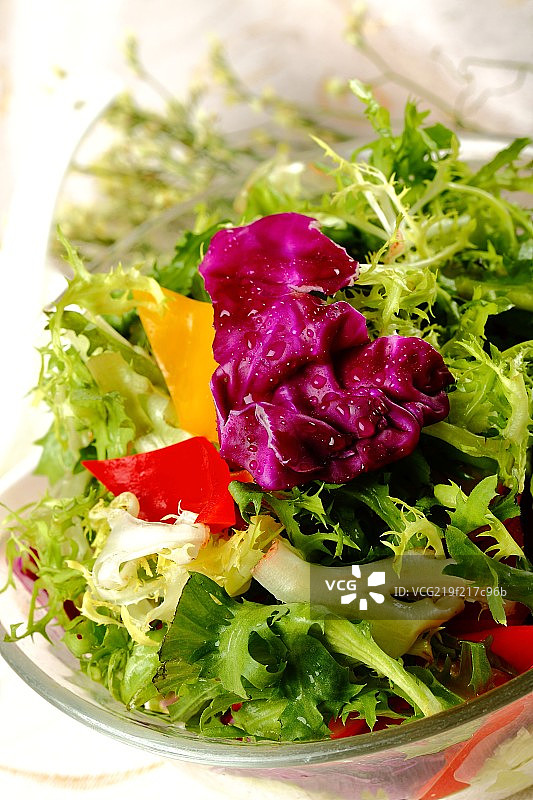 老虎菜图片素材