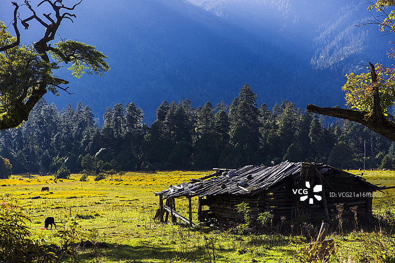 西藏南伊沟图片素材