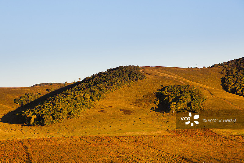 草原风景图片素材