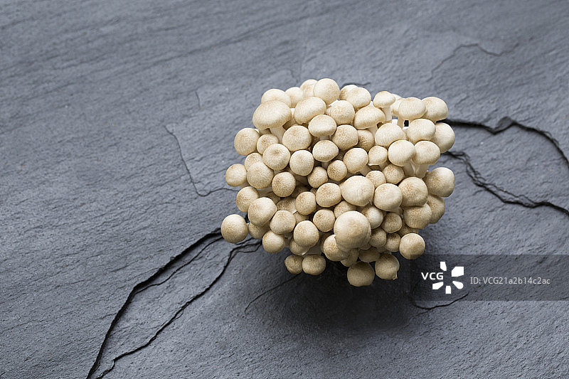 蟹味菇图片素材