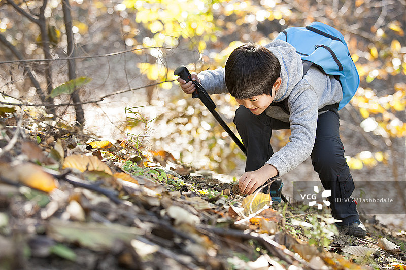 小男孩观察大自然图片素材