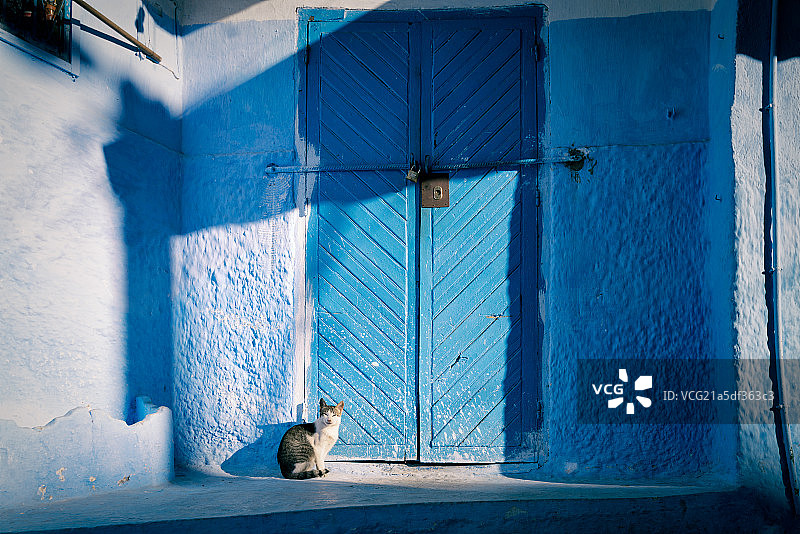 舍夫沙万6图片素材