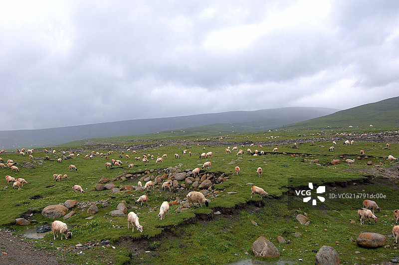 贵德风光图片素材
