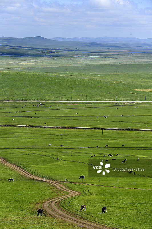 风景秀丽的呼伦贝尔海拉尔草原图片素材