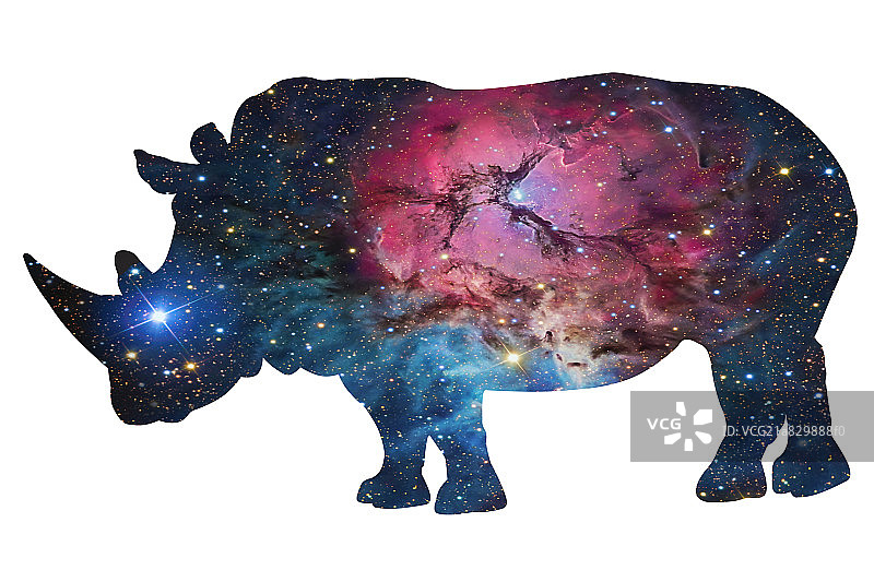犀牛图片素材