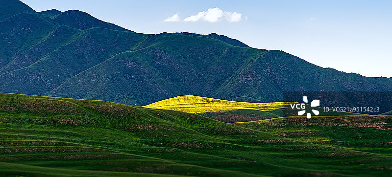 桑科草原图片素材