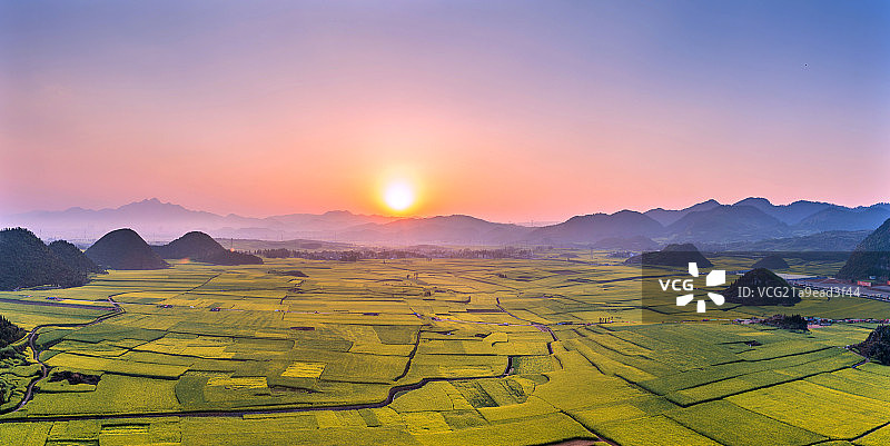 油菜花海日落风光图片素材