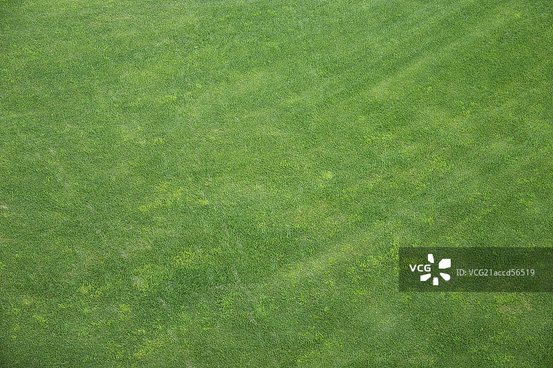 高尔夫球场图片素材